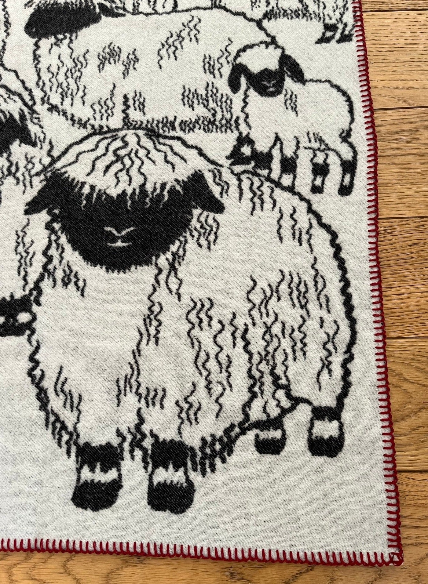 Blacknose Sheep blanket, grey border