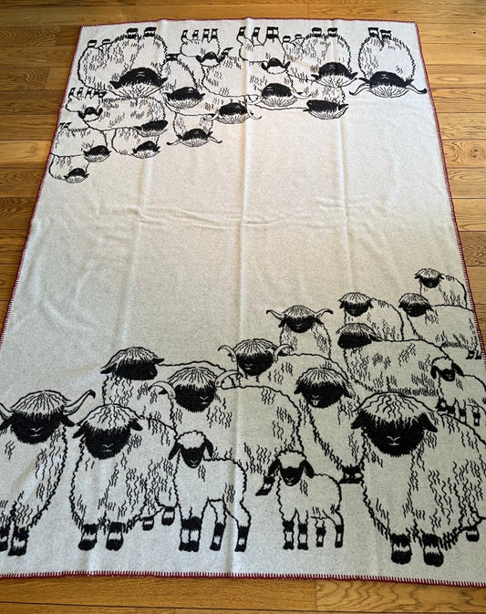 Blacknose Sheep blanket, red border