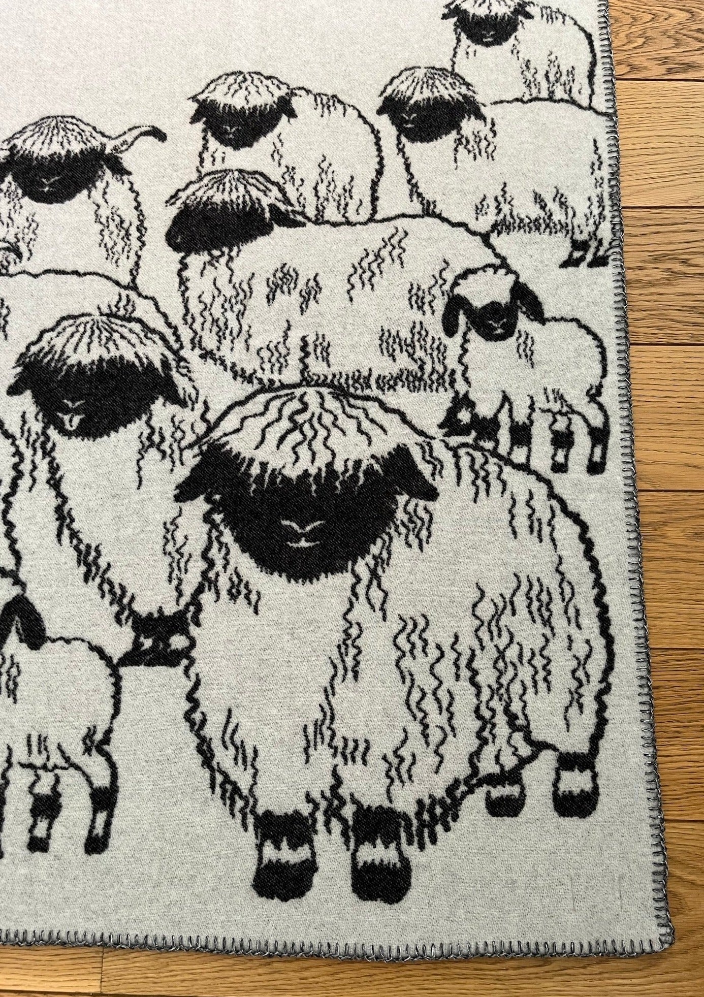 Blacknose Sheep blanket, red border