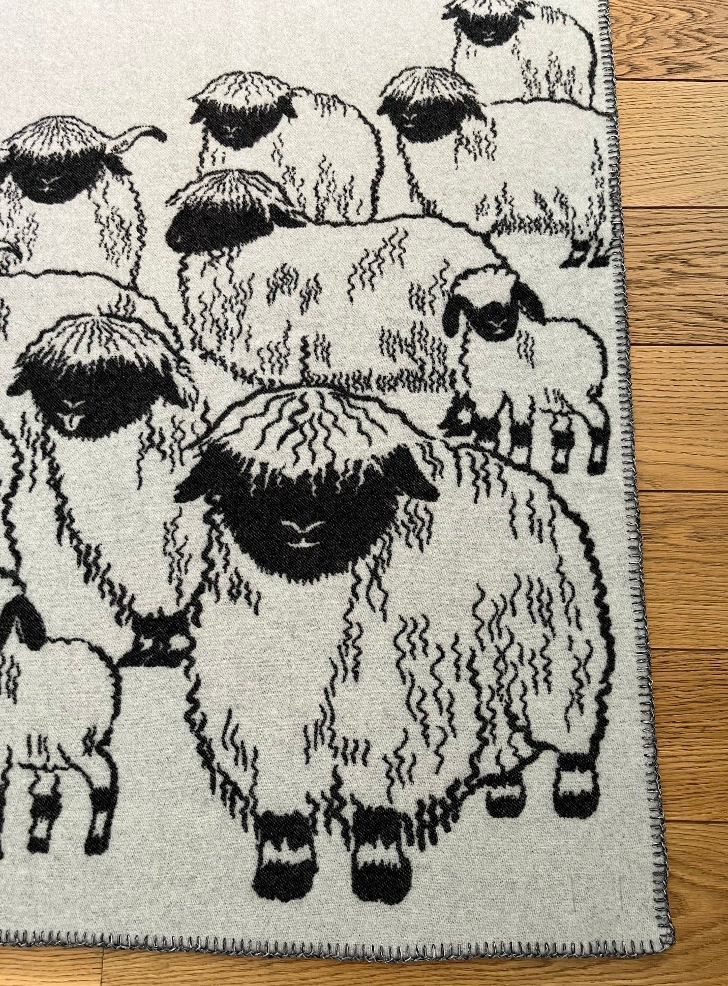 Blacknose Sheep blanket, grey border